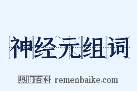 神经元组词是什么意思的图片